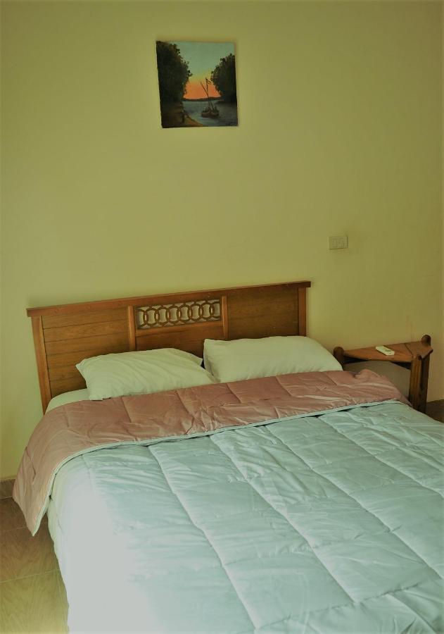 Rino Residential Apartment 카이로 외부 사진